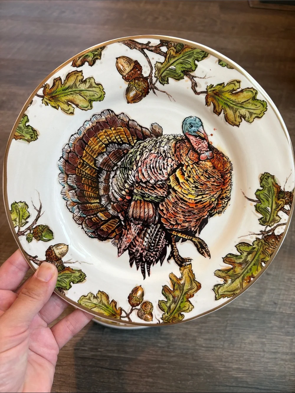 Pier 1 Autumn Oak Turkey Luncheon Salad Plates Earthenware 9